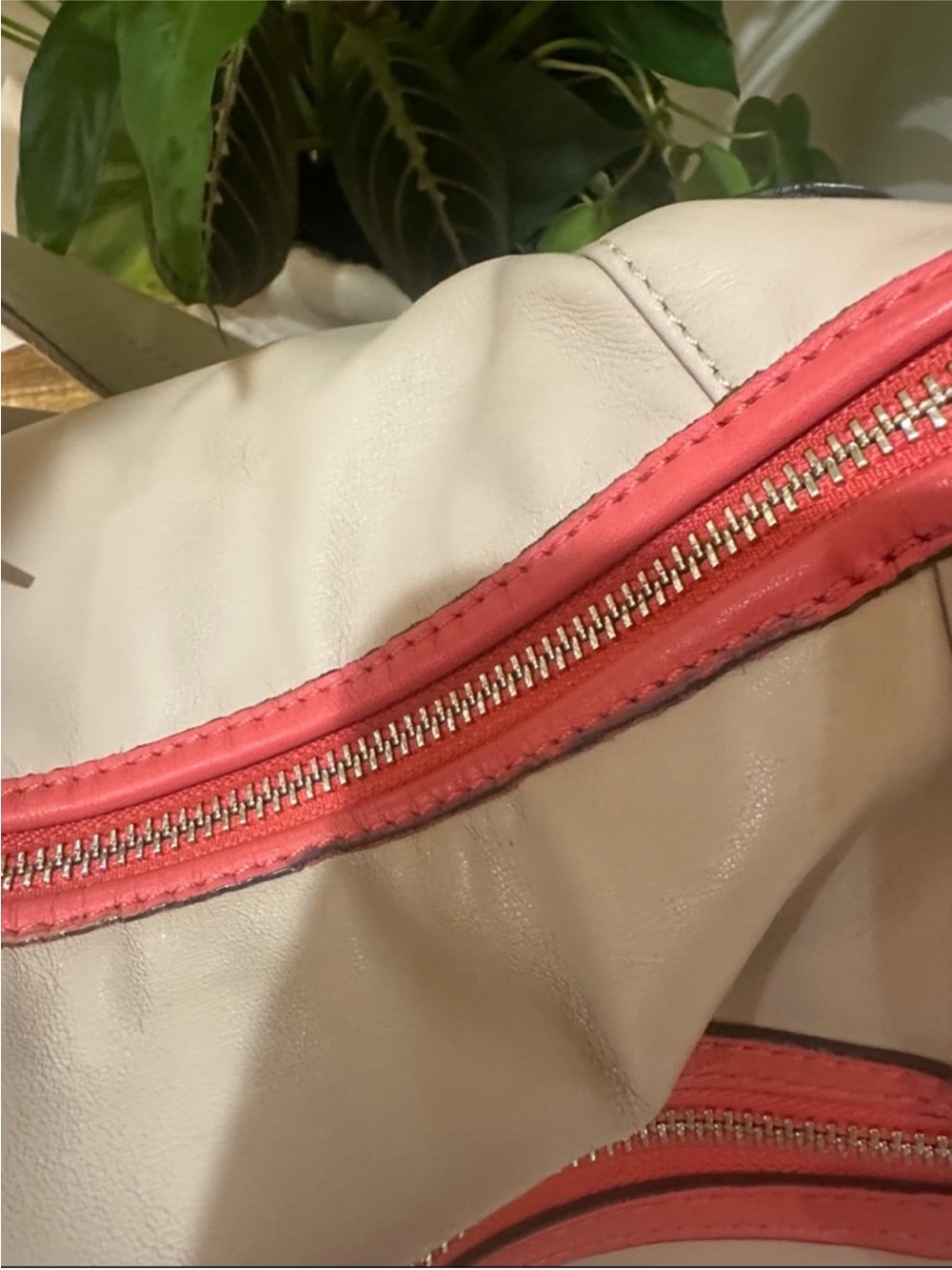 Coach Daisy Leather Hobo or Convertible Tote - Picture 7 of 9